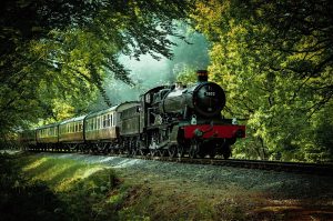 steam train in foliage